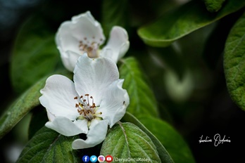 Fotoğraf Atölyemiz Otağtepe Ve Değirmendere Yollarında-11