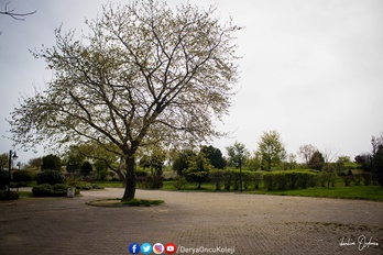 Fotoğraf Atölyemiz Otağtepe Ve Değirmendere Yollarında-16