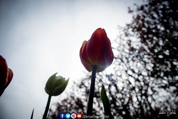 Fotoğraf Atölyemiz Otağtepe Ve Değirmendere Yollarında-17