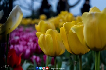 Fotoğraf Atölyemiz Otağtepe Ve Değirmendere Yollarında-2