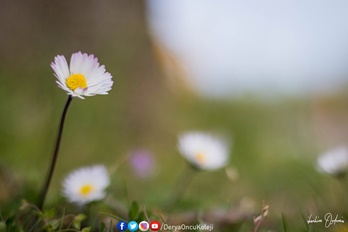 Fotoğraf Atölyemiz Otağtepe Ve Değirmendere Yollarında-20