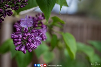 Fotoğraf Atölyemiz Otağtepe Ve Değirmendere Yollarında-23