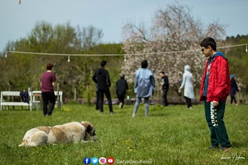 Fotoğraf Atölyemiz Otağtepe Ve Değirmendere Yollarında-27