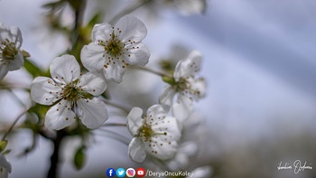 Fotoğraf Atölyemiz Otağtepe Ve Değirmendere Yollarında-29