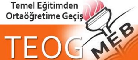 2016-2017 Teog Sonuçlarımız